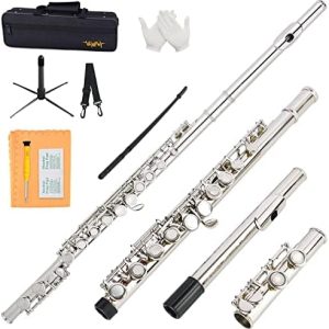 Closed Hole C Flute 16 Keys Nickel-Plated Flutes For Beginners Student Flute Instrument With Case Stand Cleaning Cloth Gloves Tuning Rod (Silver)